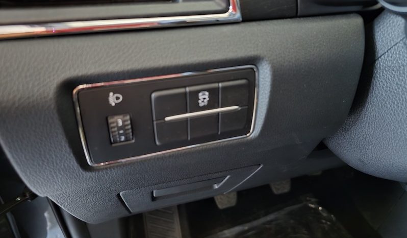 SWM G05 PRO 1.5I TURBO 140CV lleno