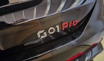 SWM G1 PRO hybrid DCT 180CV FULL EQUIPE lleno